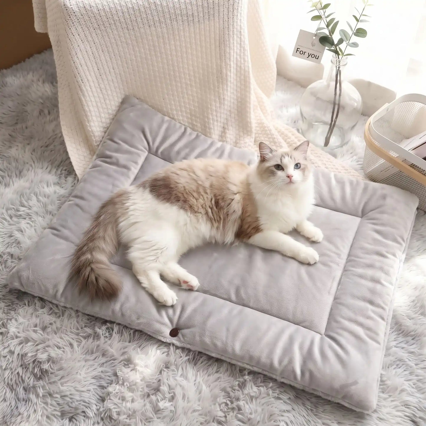 PANIER CHAT ORIGINAL | COCON MOELLEUX GRIS