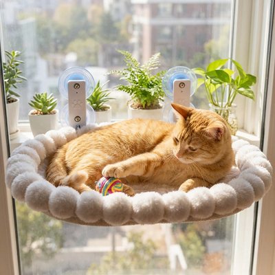 Hamac Chat fenetre chat qui joue avec une balle