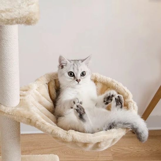 hamac-pour-arbre-a-chat-beige