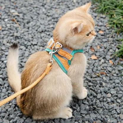 harnais-chat-anti-fugue-orange-vert