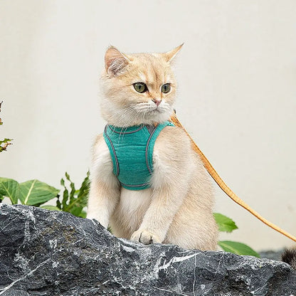 harnais-chat-anti-fugue-reflechissant