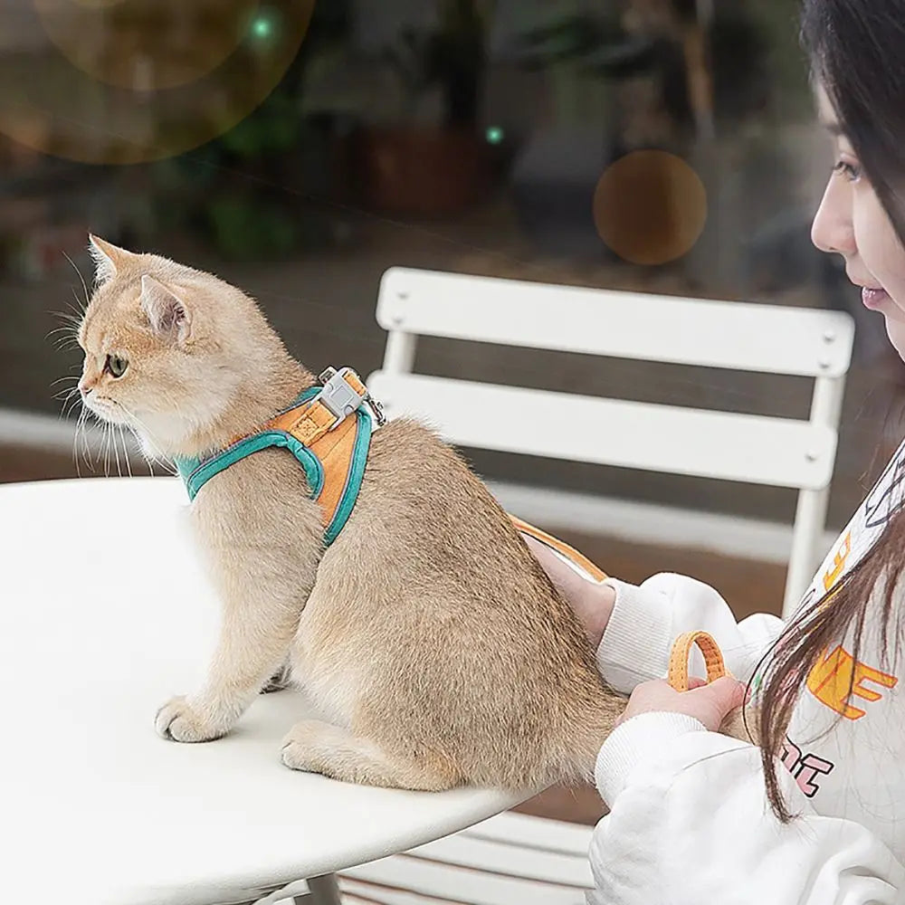 harnais-chat-anti-fugue-reglable