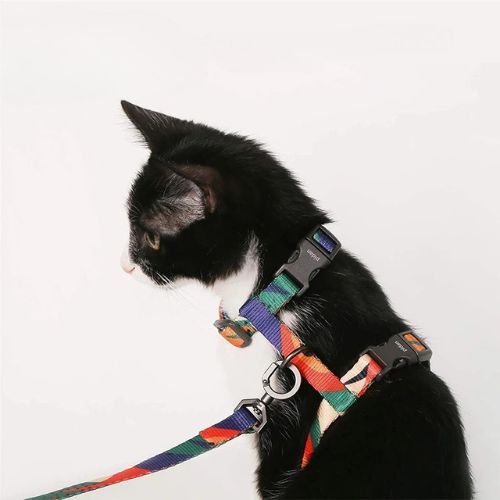 HARNAIS POUR CHAT | ANTI - ÉVASION + LAISSE OFFERTE - Leschamour