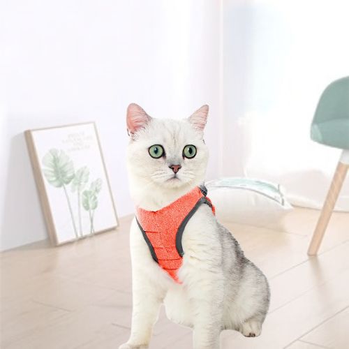 HARNAIS POUR CHAT | GILET + LAISSE OFFERTE - Leschamour