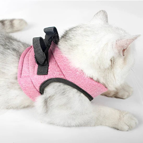 HARNAIS POUR CHAT | GILET + LAISSE OFFERTE - Leschamour