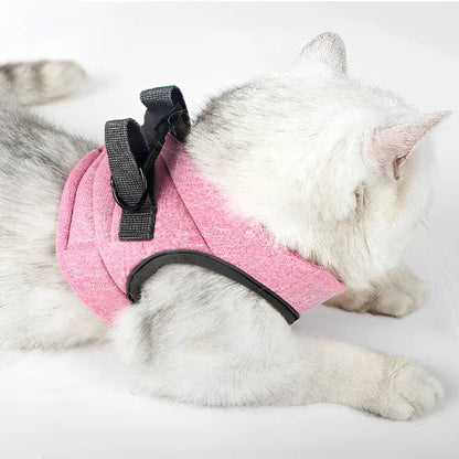 HARNAIS POUR CHAT | GILET + LAISSE OFFERTE - Leschamour