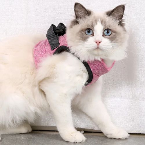 HARNAIS POUR CHAT | GILET + LAISSE OFFERTE - Leschamour