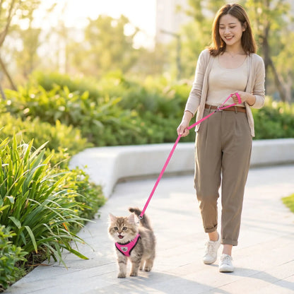 HARNAIS POUR CHATON 3 MOIS | GILET - Leschamour