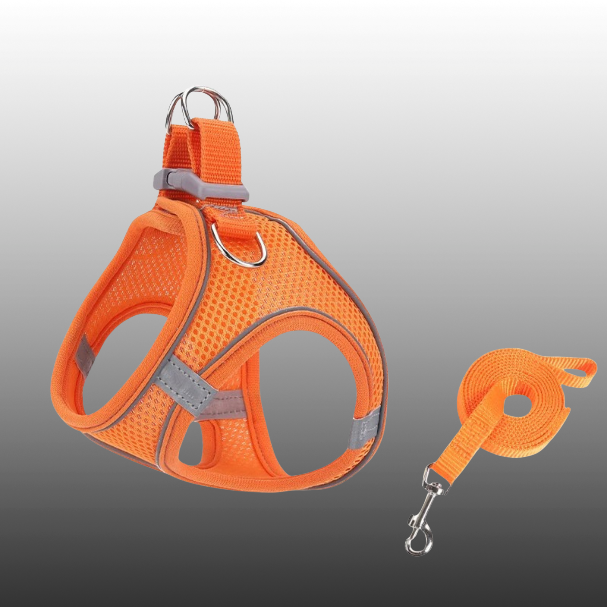 harnais pour chaton anti-fugue gilet