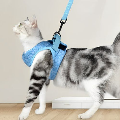 HARNAIS POUR CHATON | GILET + LAISSE OFFERTE - Leschamour