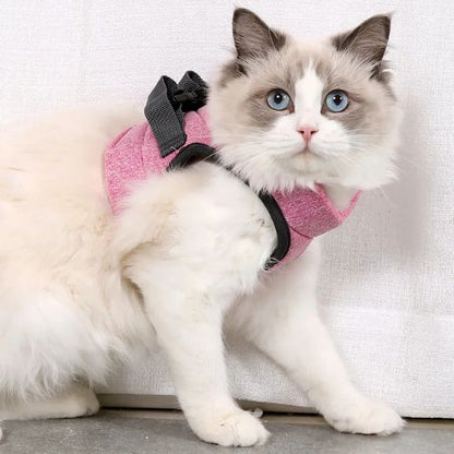 HARNAIS POUR CHATON | GILET + LAISSE OFFERTE - Leschamour