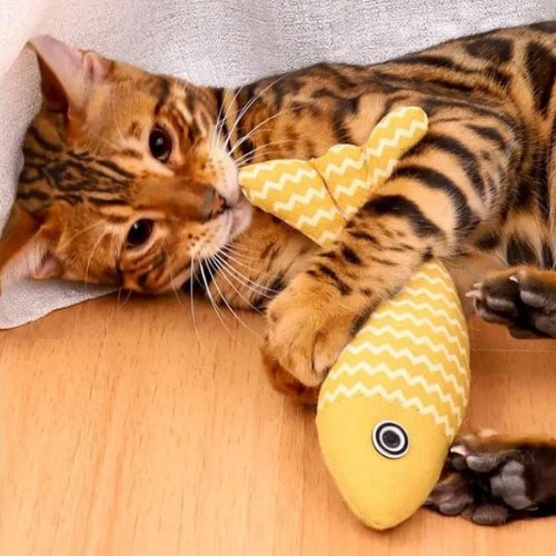 JOUET POISSON POUR CHAT | FISHCATS™ - Leschamour