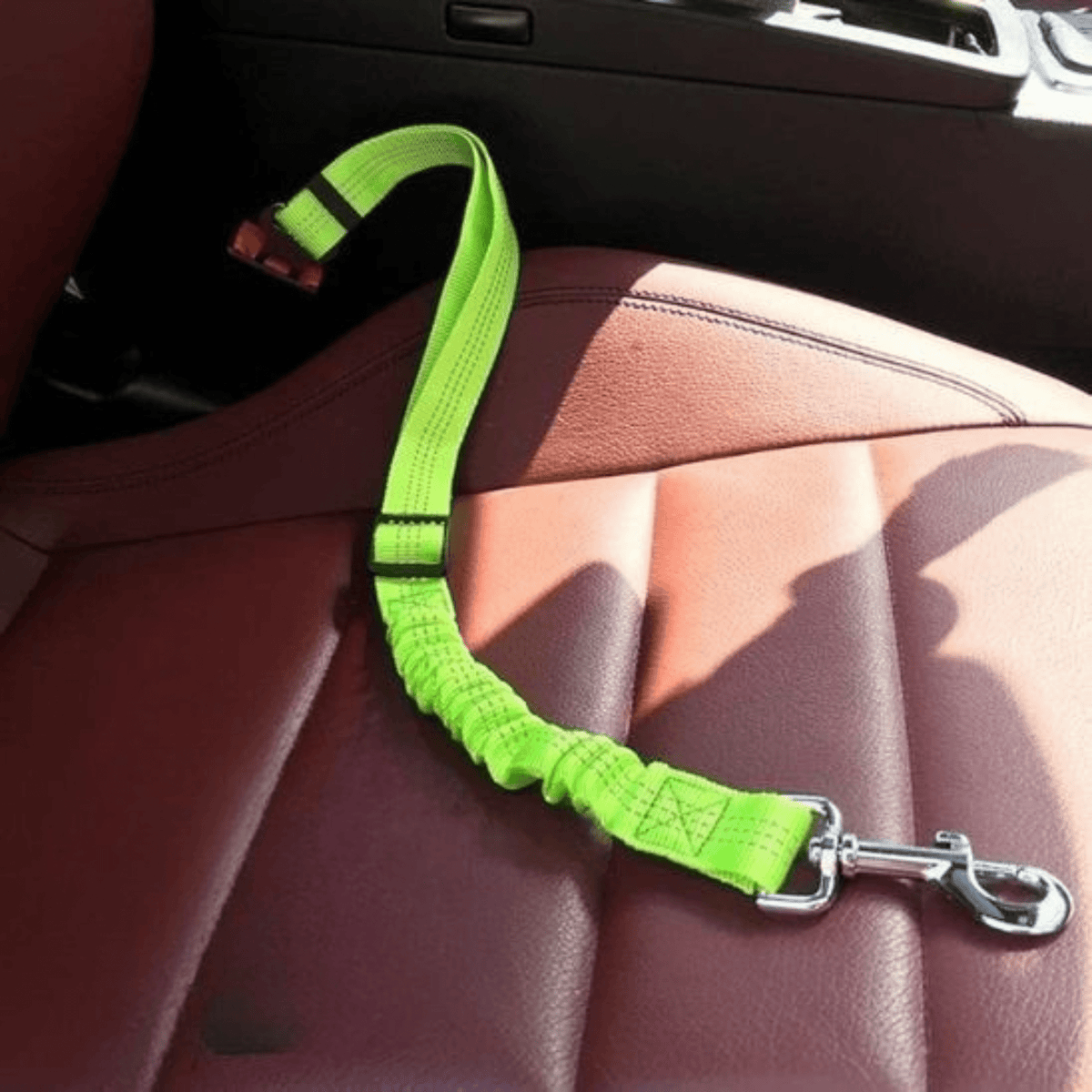 LAISSE POUR CHAT | CEINTURE - Leschamour