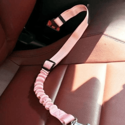LAISSE POUR CHAT | CEINTURE - Leschamour