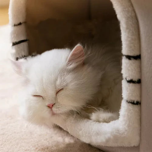 maison_pour_chat_chaude