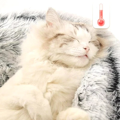 maison_pour_chat_panier_chaleur