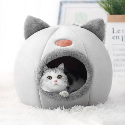 maison_pour_chat_pas_cher
