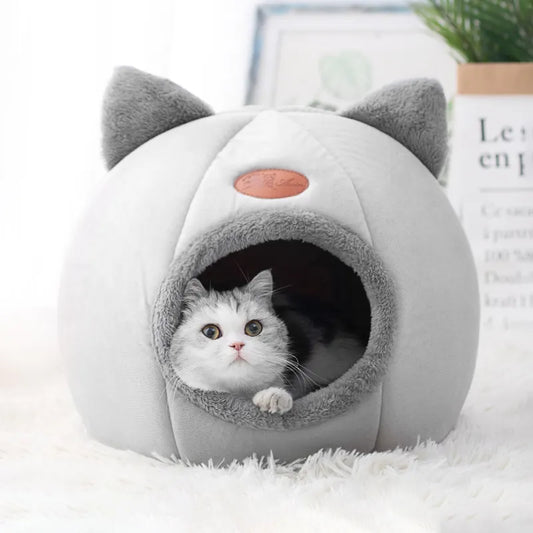 maison_pour_chat_pas_cher