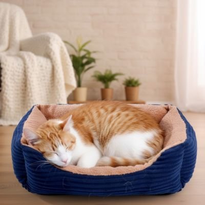 Panier chat bleu moelleux