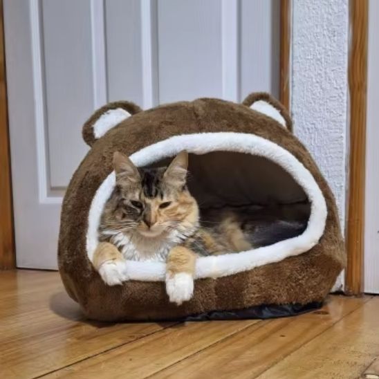 panier-chat-doux