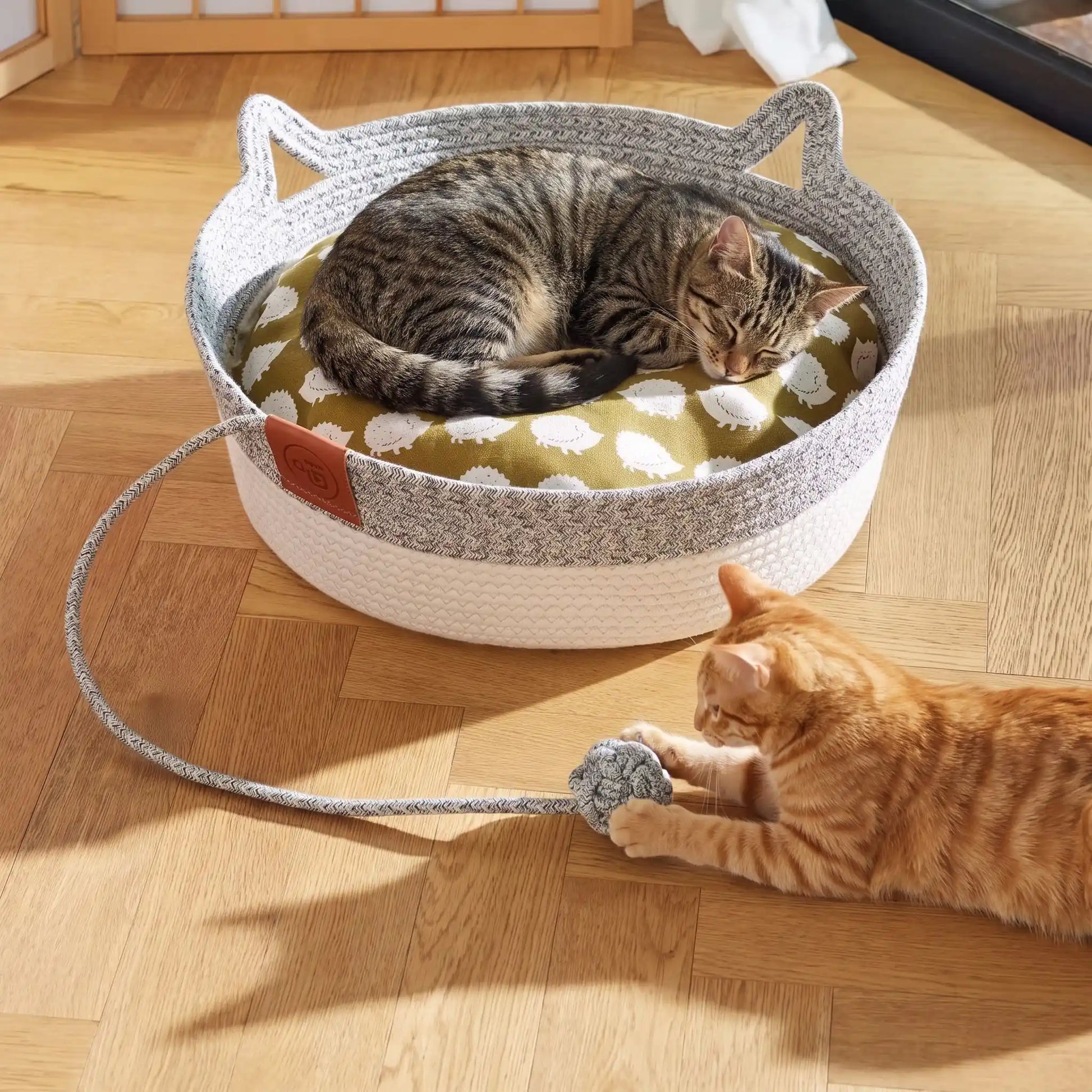 panier chat en osier confort