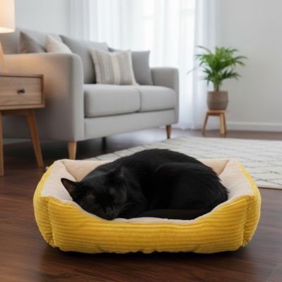 panier chat jaune
