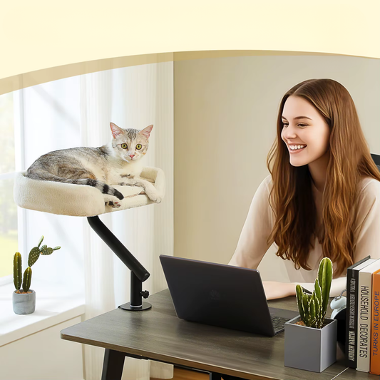panier suspendu chat rotatif 360