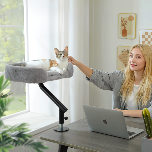 panier suspendu pour chat rotatif 360