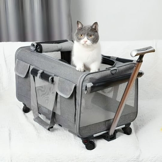 Sac transport chat xxl avec roulettes