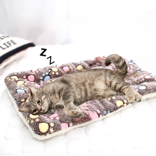 tapis-pour-chat-marron