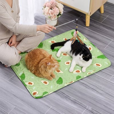 Tapis rafraichissant Chat vert