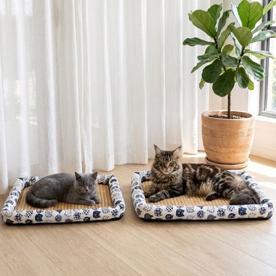 Tapis rafraichissant pour Chat blanc