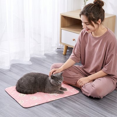 Tapis rafraichissant pour Chat lapin