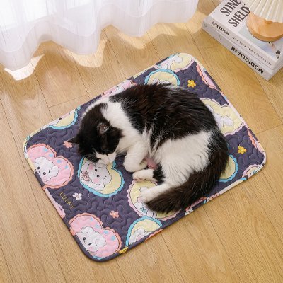 TAPIS RAFRAICHISSANT POUR CHAT | RESPIRANT - Leschamour